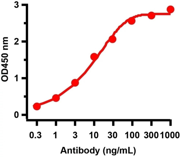 Anti-SARS-CoV-2 ORF9b