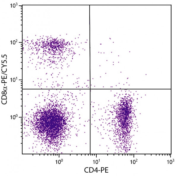 Anti-CD8a (PE/Cy5.5), clone 53-6.7