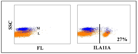 Anti-CD4 (bovine), clone ILA11A