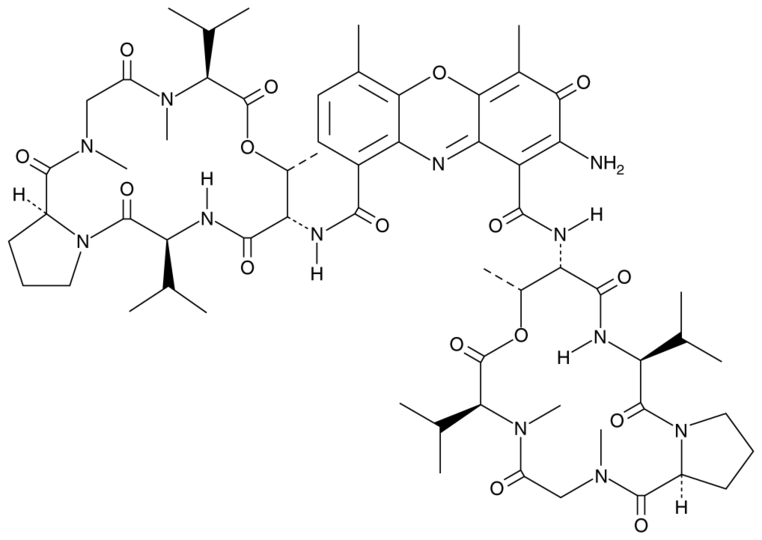 Actinomycin D CAS 50760 Cayman Chemical Biomol.de