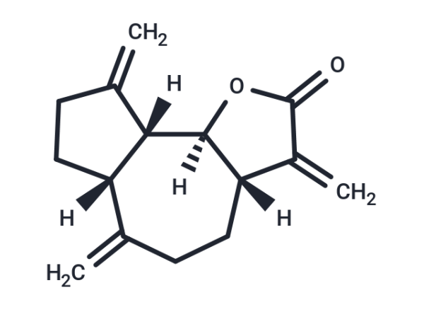 Dehydrocostus Lactone
