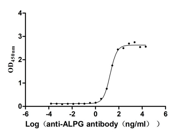 Anti-ALPG Recombinant Monoclonal, clone 29A5