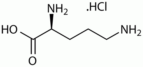 L-Ornithine Hydrochloride