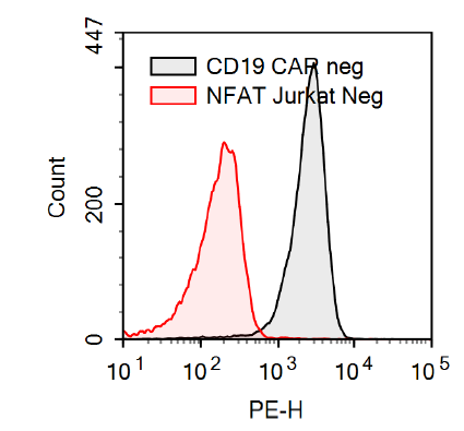 Anti-CD19 CAR negative control/ NFAT (Luciferase) Reporter Jurkat Cell Line (CD19 SCFV-CD28 transmem