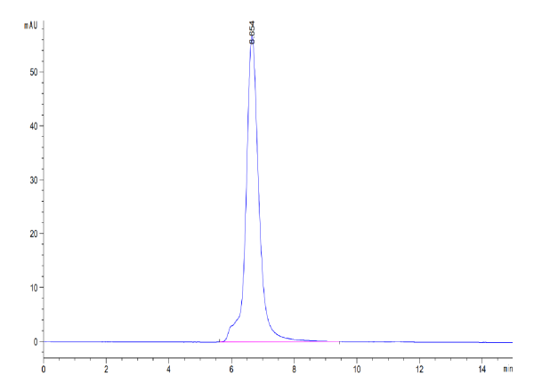 Human CD37 Protein
