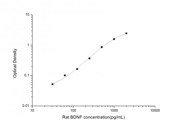 Rat BDNF (Brain Derived Neurotrophic Factor) ELISA Kit