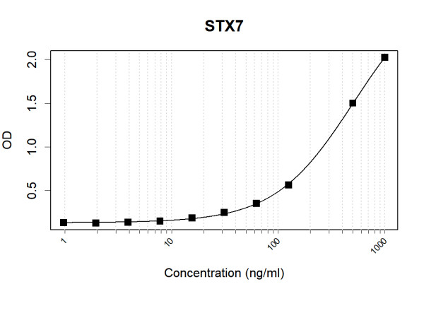 Anti-Human STX7 Antibody Pair