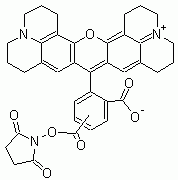 5(6)-ROX, SE (5-(and-6)-Carboxy-X-rhodamine, succinimidyl ester) *Mixed isomers*