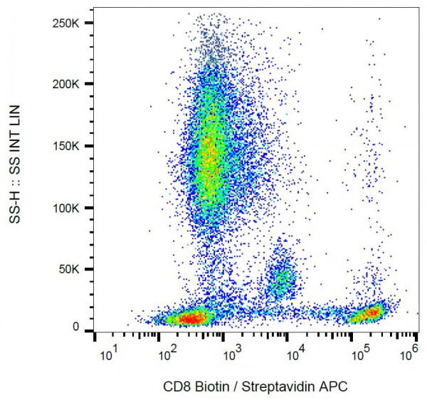 Anti-CD8, clone MEM-31 (Biotin)