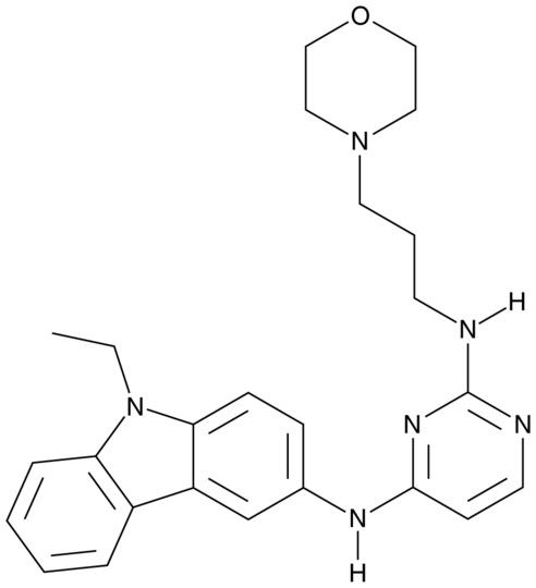 EHop-016