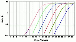 Cyber Green(TM) *10,000X Aqueous PCR Solution*