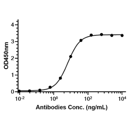 Anti-PD-1 Antibody (Sintilimab)