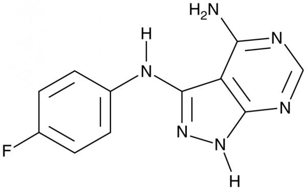 CGP 57380