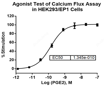 HEK293/EP1 Stable Cell Line