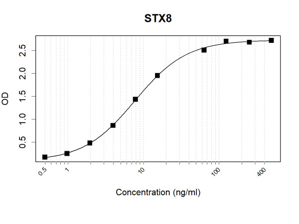 Anti-Human STX8 Antibody Pair