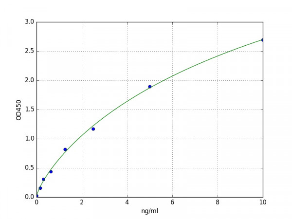 Human Cathepsin B ELISA Kit