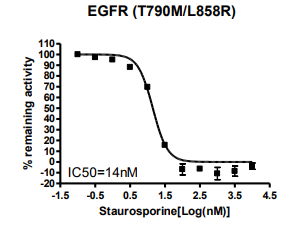 EGFR(T790M/L858) Kinase Assay Kit