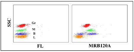 Anti-Myeloblast (rabbit), clone MRB120A