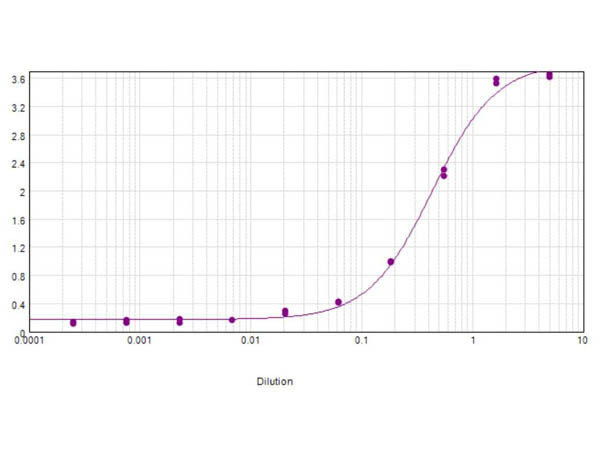 Anti-CARBONIC ANHYDRASE II, Biotin Conjugated