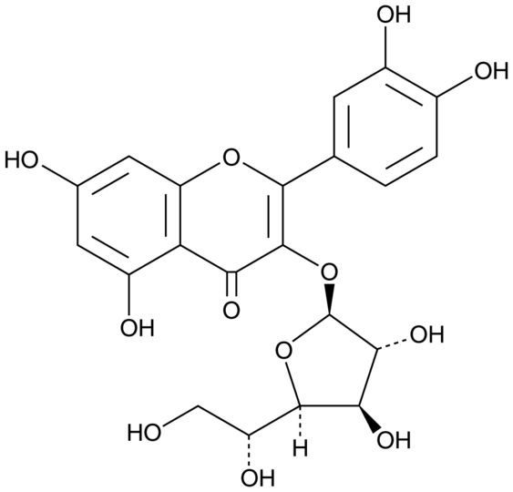 Isoquercitroside