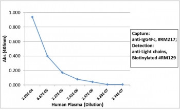 Anti-Human IgG4 Fc, clone RM217 (recombinant antibody)
