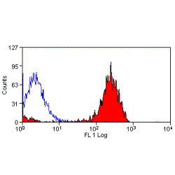 Anti-CD36, clone MF3