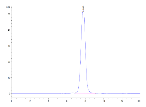 ANGPTL2/Angiopoietin-like 2, His &amp; Avi, Human