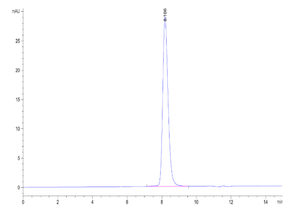 Mouse Musk (muscle, skeletal receptor tyrosine-protein kinase) Protein