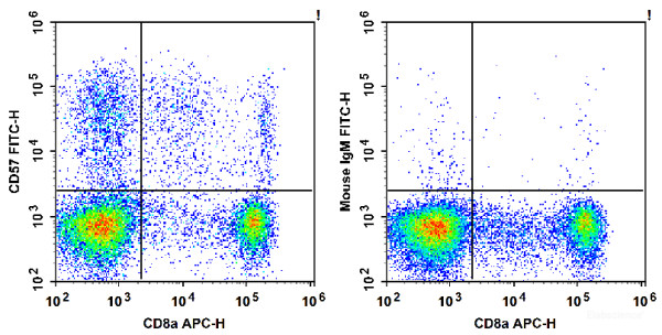 Anti-Human CD57, FITC conjugated, clone HNK-1
