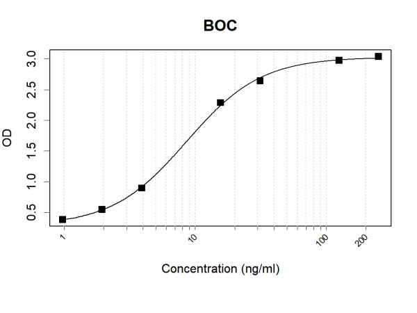 Anti-Human BOC Antibody Pair