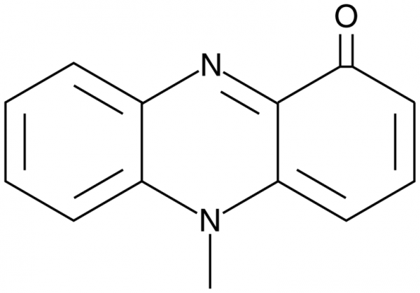 Pyocyanin