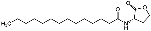 N-Tetradecanoyl-L-homoserine lactone