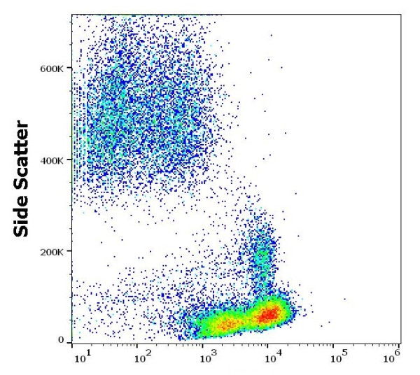 Anti-CD99, clone 3B2/TA8 (PE )