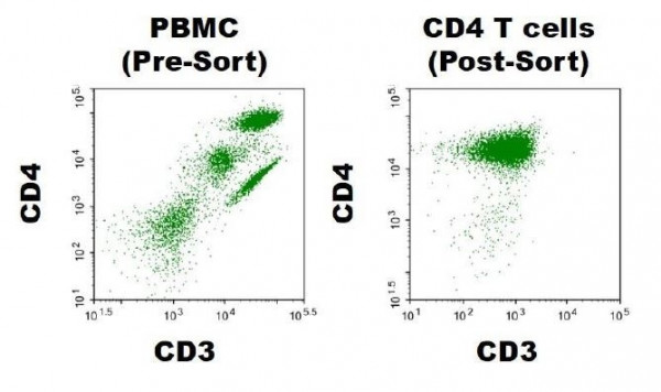 CD4+ T cells, Negatively Selected (Human)