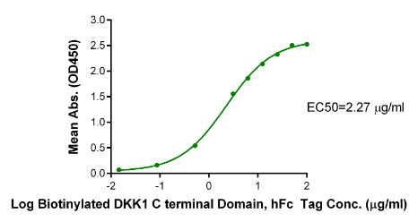 DKK1 C terminal Domain hFc Chimera[Biotin], Avi, Human