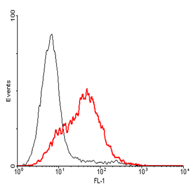 Anti-GITR (human), clone AIT 158D