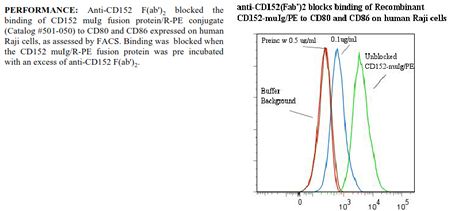 Anti-CD152 (human), clone ANC152.2/8H5 (F(ab&#039;)2)