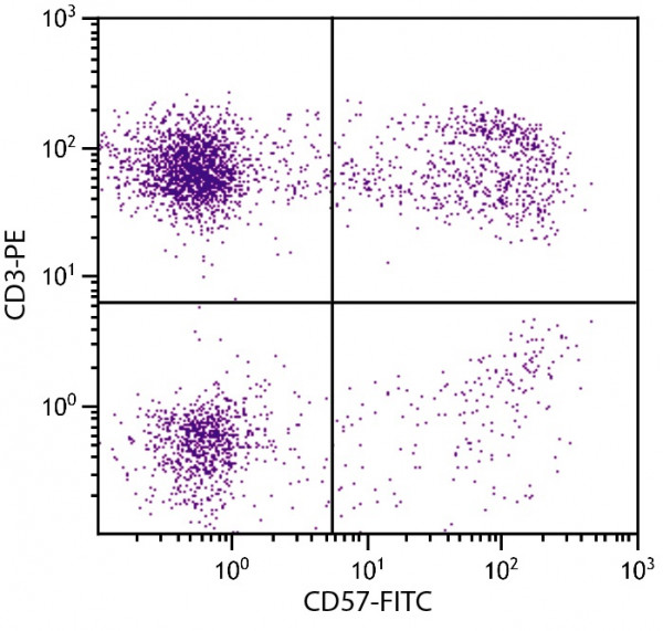 Anti-CD57 (FITC), clone NK-1