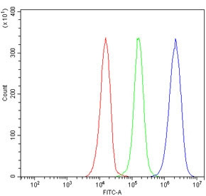 Anti-VLDLR / VLDL Receptor
