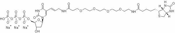 Biotin-20-dUTP *1 mM in Tris Buffer (pH 7.5)*