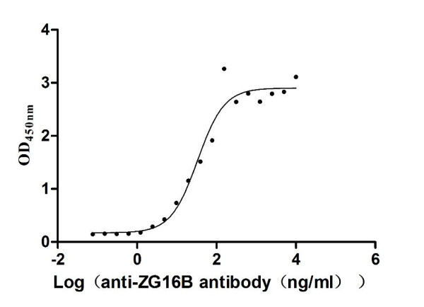 Anti-ZG16B Recombinant Monoclonal, clone 6E5