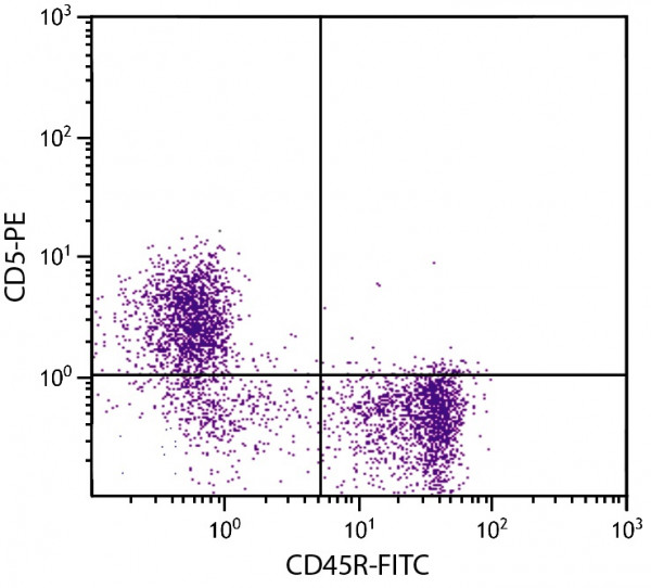 Anti-CD5 (PE), clone B19.1