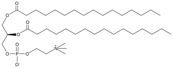 1,2-Dipalmitoyl-sn-glycero-3-PC