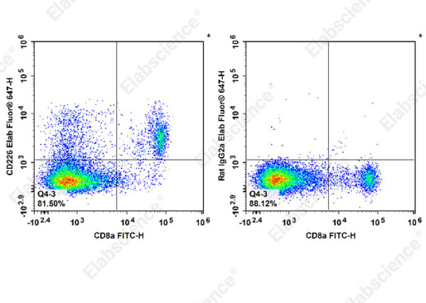 Anti-CD226, clone 480.1, Elab Fluor(R)647 conjugated