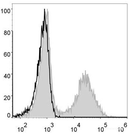 Anti-Mouse MHC II (I-A/I-E) (AF488 Conjugated)[M5/114], clone M5/114