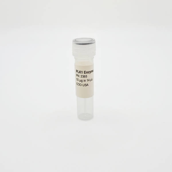 Recombinant PLK1 Enzyme, Active, Human