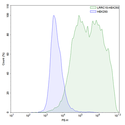 FluoSite Anti-LRRC15 Antibody, PE-Labeled