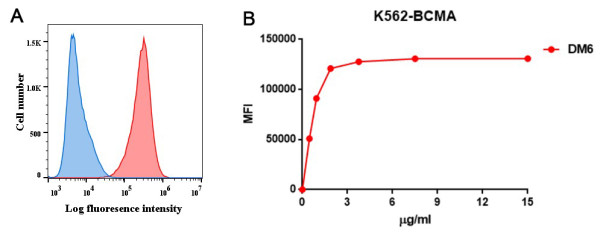Anti-BCMA antibody(DM6), Rabbit mAb
