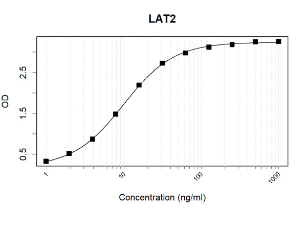 Anti-Human LAT2 Antibody Pair