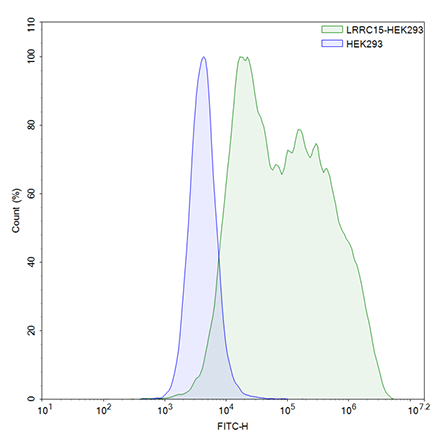 FluoSite Anti-LRRC15 Antibody, FITC-Labeled